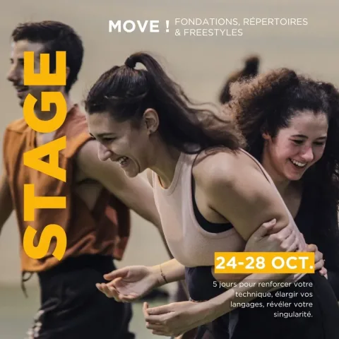 Stage de danse du 24 au 28 octobre 2026 à Toulouse (Dorian Rollin, Sylvia Watters, Géraldine Armstrong...)
